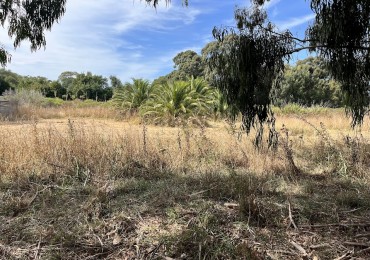 Lote de 3.430 m²  Jorge Newbery Apto Credito